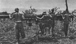 Servanti ai unei baterii AA in Basarabia in 1941. Se observa castile Adrian model 1916 folosite de trupele din a doua linie