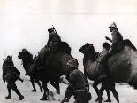 Romanian soldiers in the Caucasus using a very unusual 