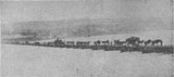 Trupe din Divizia 10-a trecand podul de vase aruncat peste Dunare la Flamanda