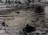 Romanian soldiers crossing a small river. Note that they still have the badges with King Carol II's cipher on the helmets.