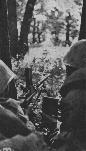 Soldati romani tragand cu o pusca mitraliera ZB in timpul luptelor din peninsula Taman, in vara lui 1943