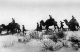 Romanian troops using camels for crossing the Caucasian wastelands.