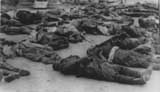 Romanian soldiers killed during the battle of Odessa. 15 October 1941.
